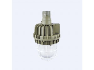 □AD82-系列防爆灯